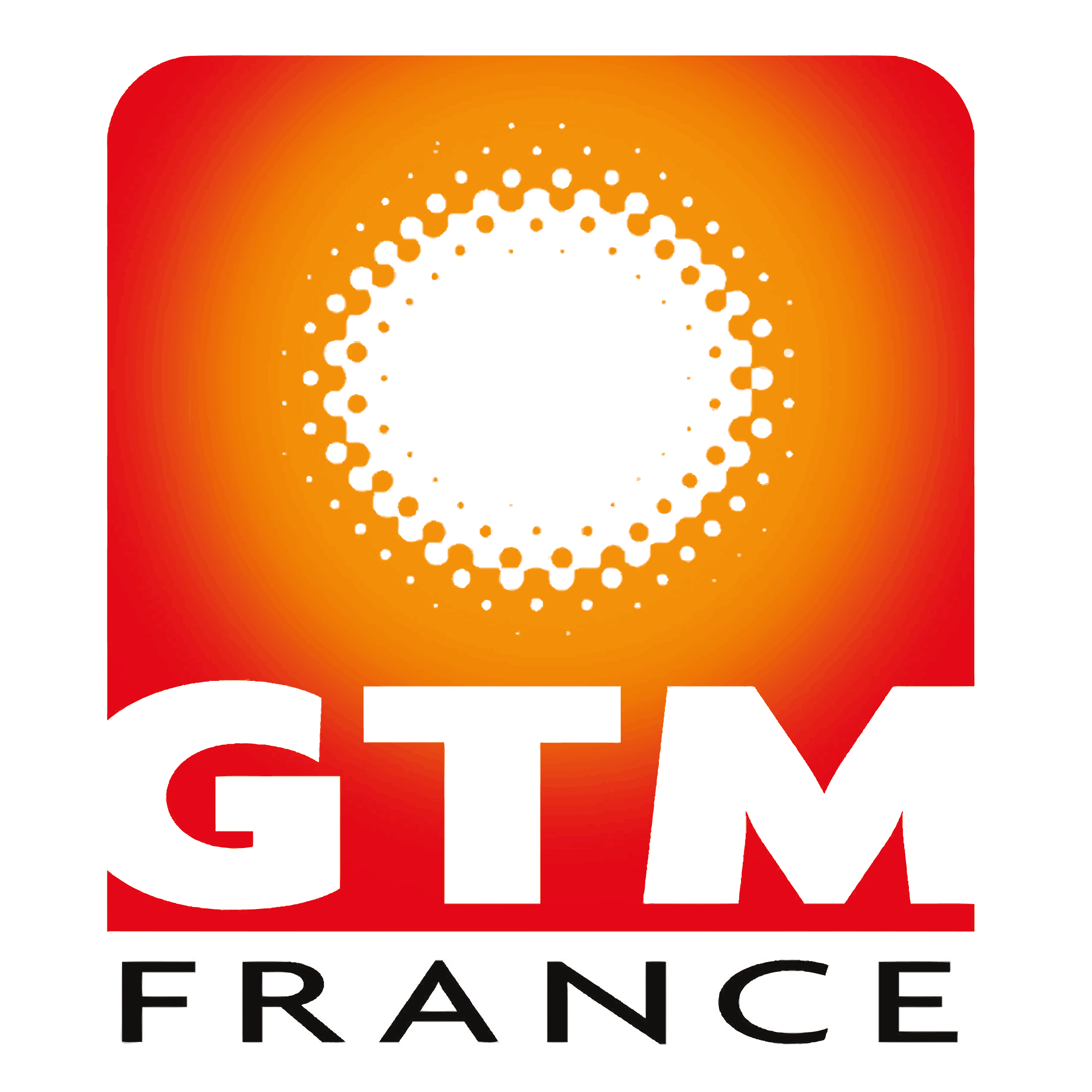 Logo GTM FRANCE